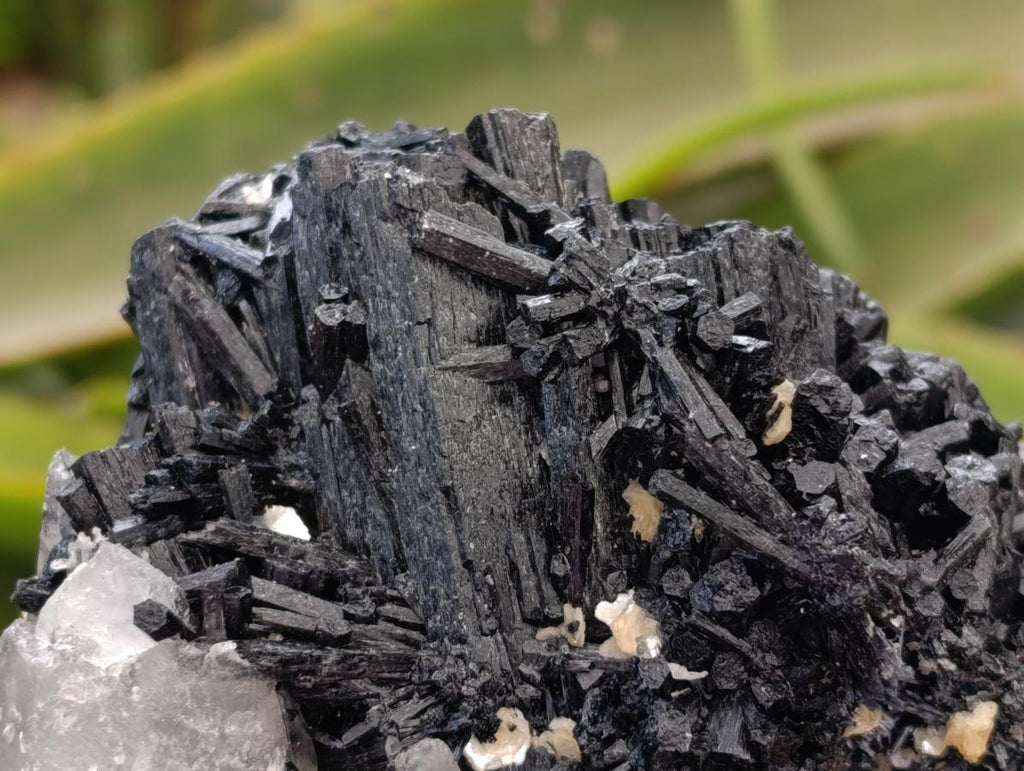 Natural Schorl Black Tourmaline with Vermiculite x 3 From Erongo, Namibia