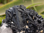 Natural Schorl Black Tourmaline with Vermiculite x 3 From Erongo, Namibia