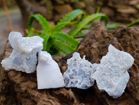 Natural Etched Blue Chalcedony Geodes x 59 From Nsanje, Malawi