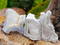 Natural Etched Blue Chalcedony Geodes x 59 From Nsanje, Malawi