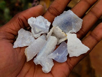 Natural Etched Blue Chalcedony Geodes x 59 From Nsanje, Malawi