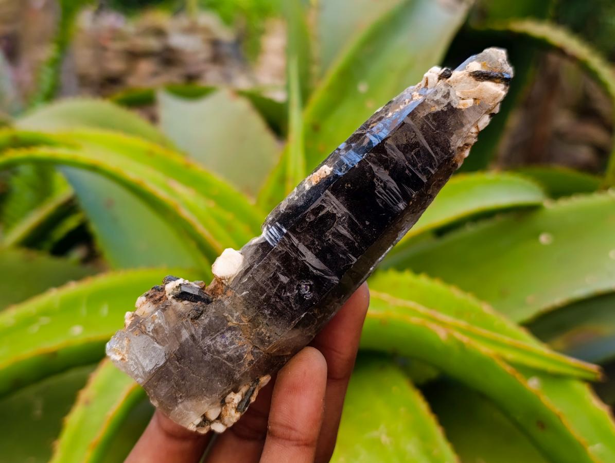 Natural Smokey Quartz Crystals x 6 From Zomba, Malawi