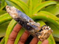Natural Smokey Quartz Crystals x 6 From Zomba, Malawi