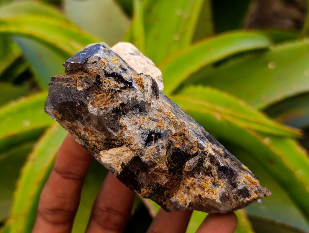 Natural Smokey Quartz Crystals x 6 From Zomba, Malawi