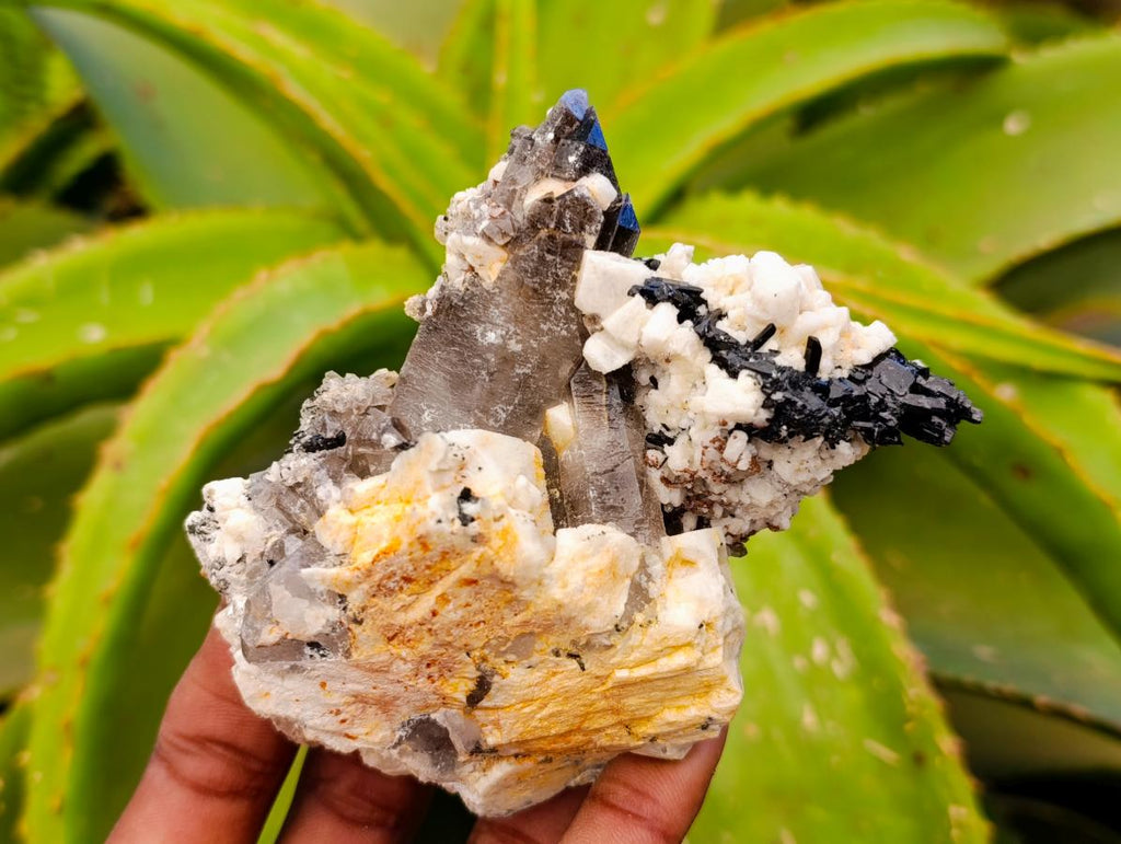 Natural Smokey Quartz Crystals x 6 From Zomba, Malawi