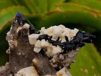 Natural Smokey Quartz Crystals x 6 From Zomba, Malawi