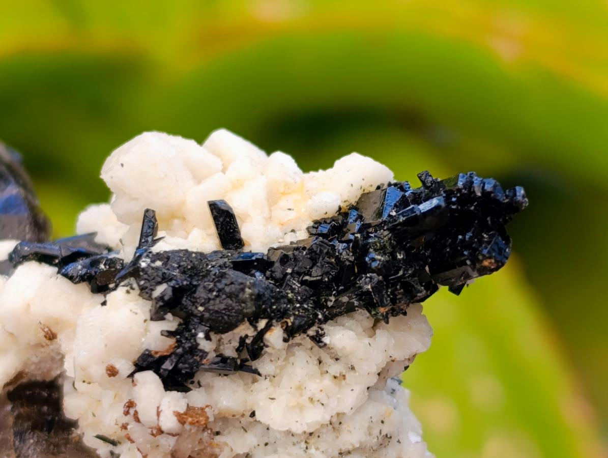 Natural Smokey Quartz Crystals x 6 From Zomba, Malawi