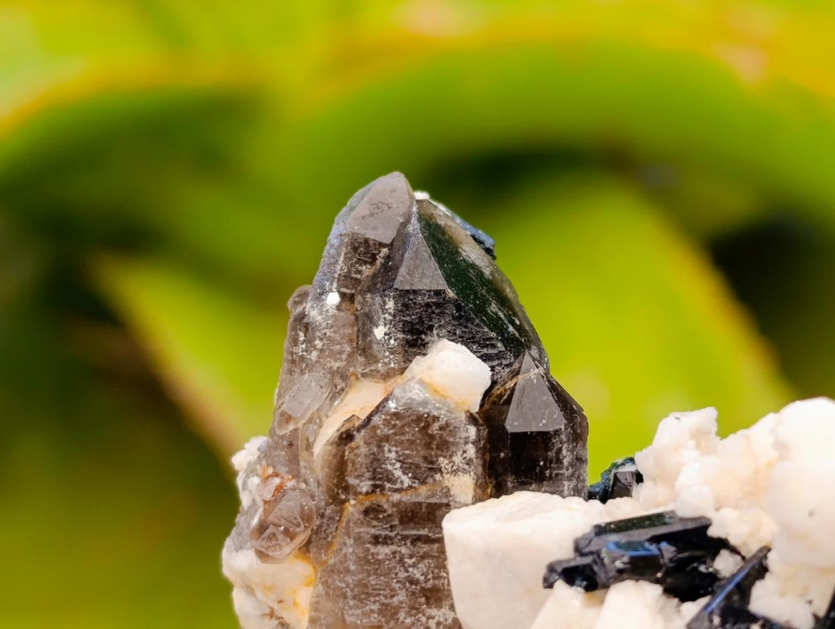 Natural Smokey Quartz Crystals x 6 From Zomba, Malawi