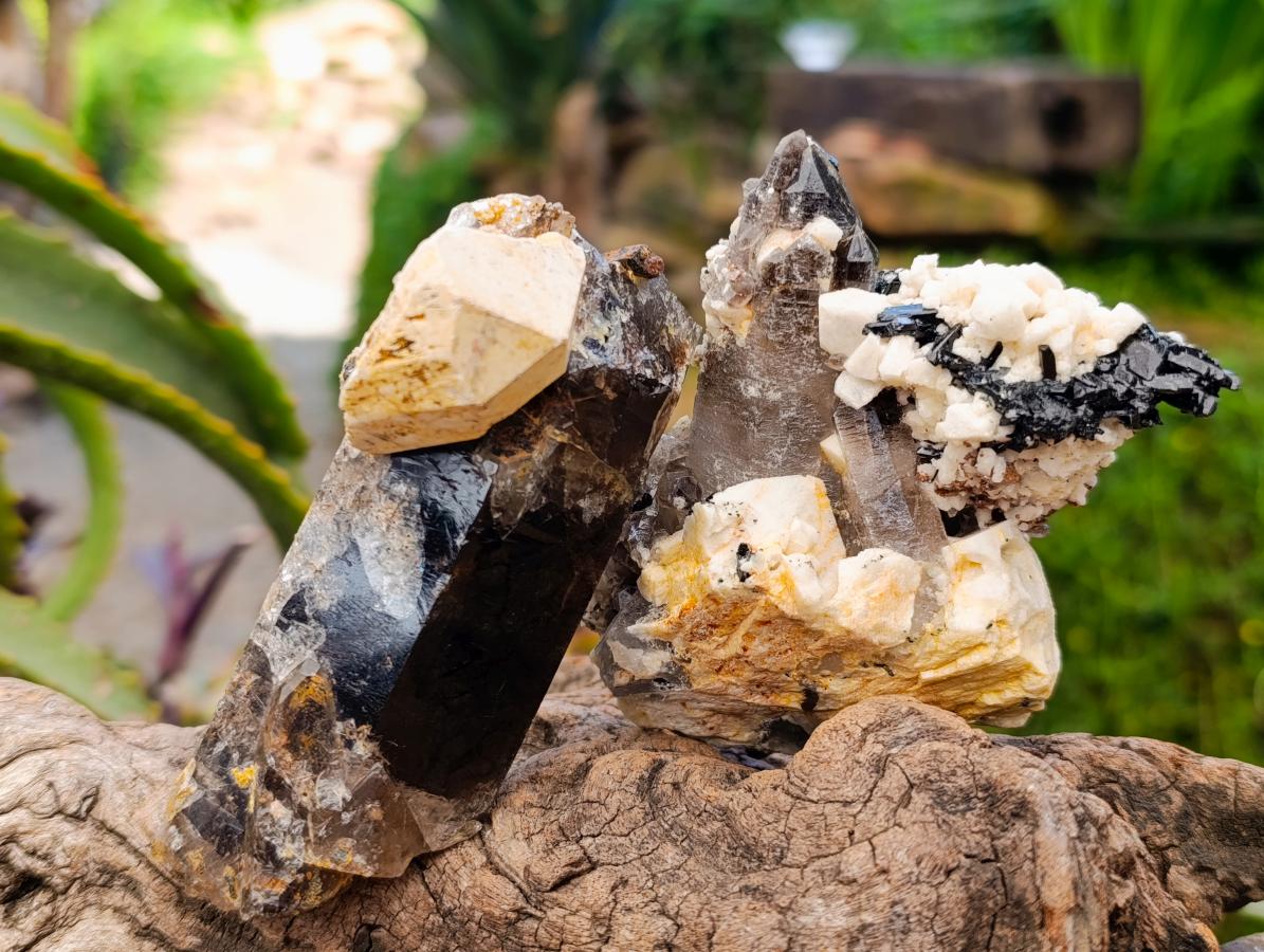 Natural Smokey Quartz Crystals x 6 From Zomba, Malawi