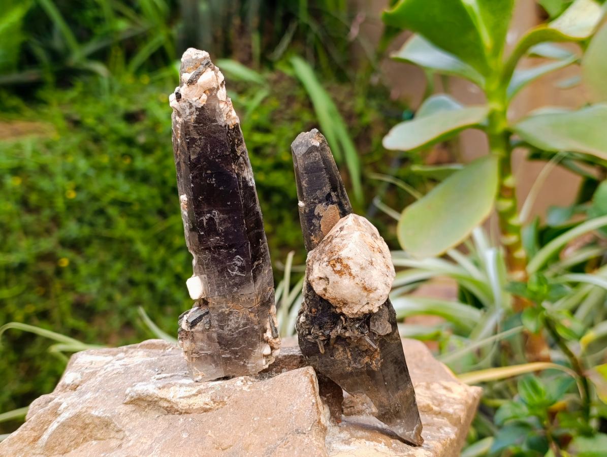 Natural Smokey Quartz Crystals x 6 From Zomba, Malawi