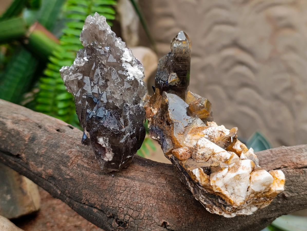 Natural Smokey Quartz Crystals x 6 From Zomba, Malawi