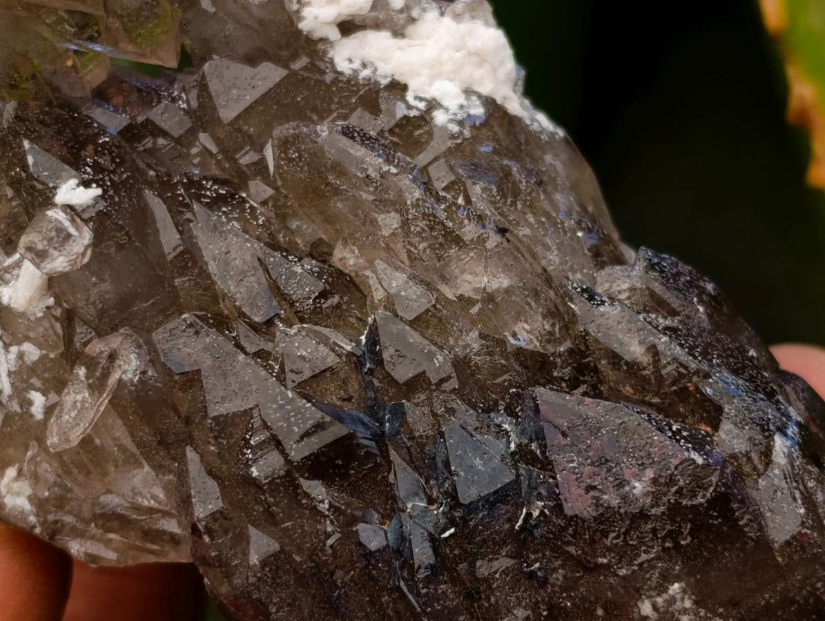 Natural Smokey Quartz Crystals x 6 From Zomba, Malawi