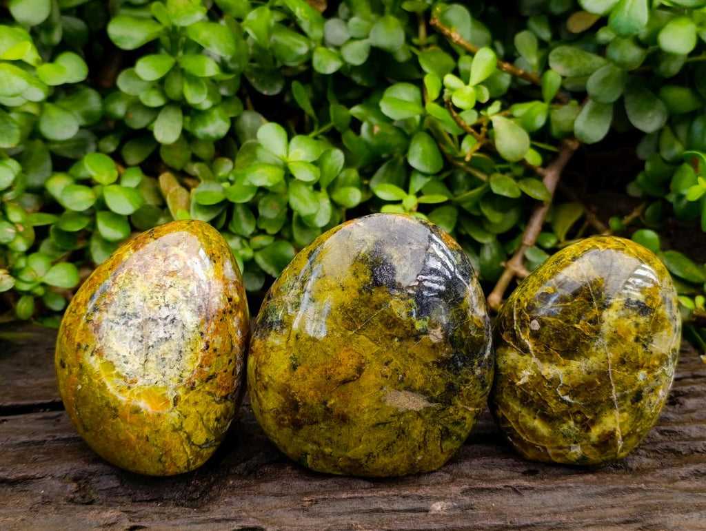 Polished Green Opal Standing Free Forms x 3 From Betroka, Madagascar