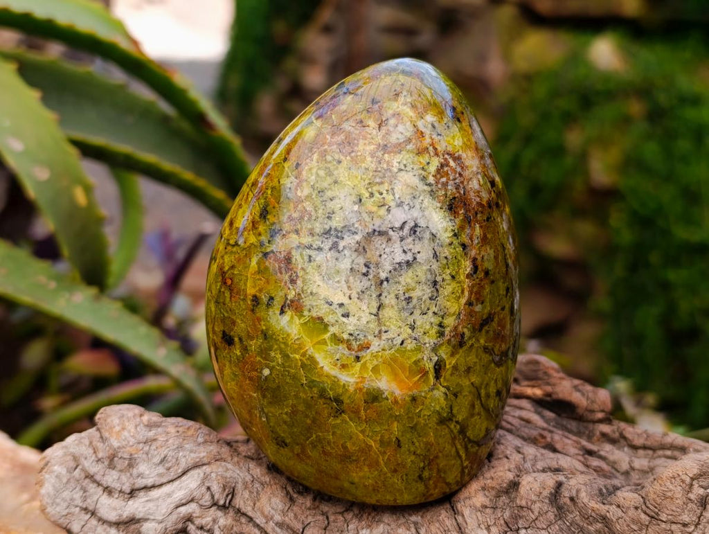 Polished Green Opal Standing Free Forms x 3 From Betroka, Madagascar