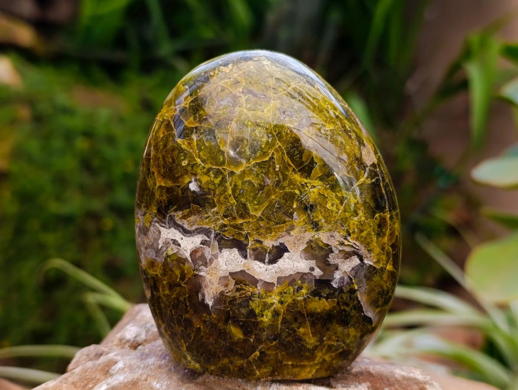 Polished Green Opal Standing Free Forms x 3 From Betroka, Madagascar