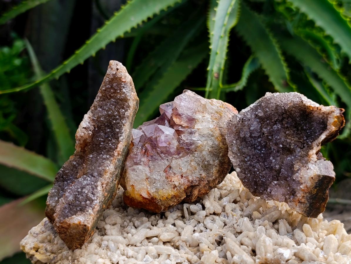 Natural Amethyst Agate Geodes And Plates x 12 From Zululand, South Africa