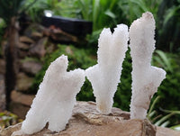 Natural Lesotho Drusy Quartz Snow Fingers Specimens x 12 From Alberts Mountain, Lesotho