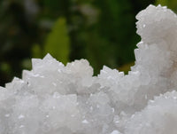 Natural Lesotho Drusy Quartz Snow Fingers Specimens x 12 From Alberts Mountain, Lesotho