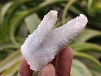 Natural Lesotho Drusy Quartz Snow Fingers Specimens x 12 From Alberts Mountain, Lesotho