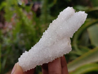 Natural Lesotho Drusy Quartz Snow Fingers Specimens x 12 From Alberts Mountain, Lesotho