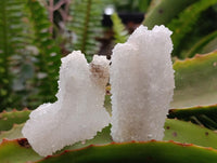 Natural Lesotho Drusy Quartz Snow Fingers Specimens x 12 From Alberts Mountain, Lesotho