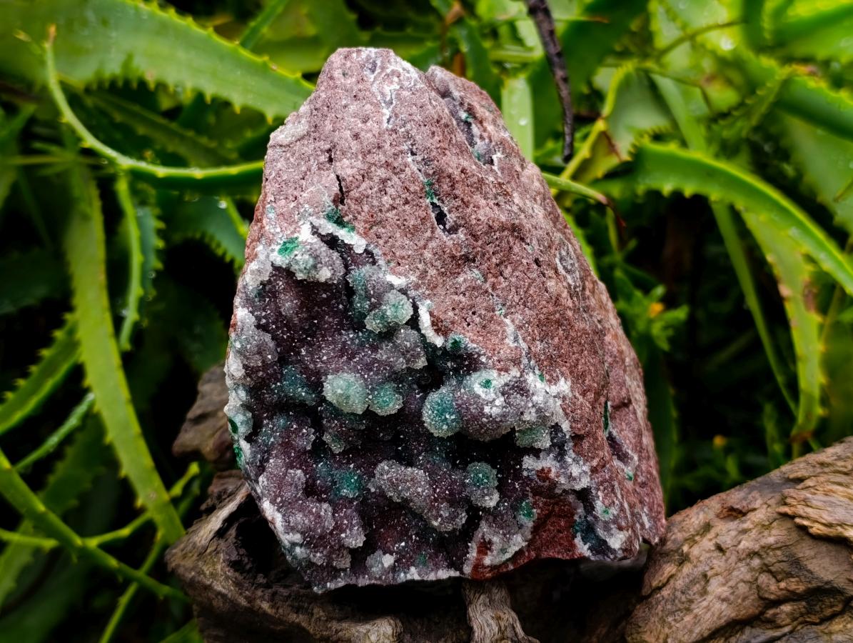 Natural Drusy Quartz Coated Ball Malachite On Dolomite Specimen x 1 From Mindingi Mine, Kambove, Congo