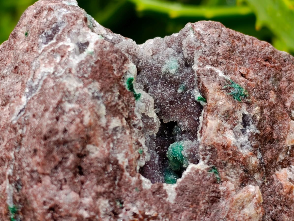 Natural Drusy Quartz Coated Ball Malachite On Dolomite Specimen x 1 From Mindingi Mine, Kambove, Congo