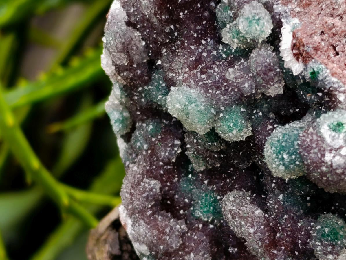 Natural Drusy Quartz Coated Ball Malachite On Dolomite Specimen x 1 From Mindingi Mine, Kambove, Congo