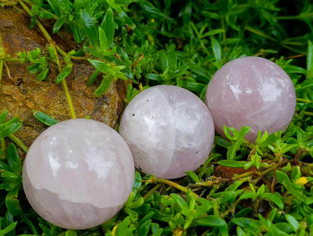 Polished Star Rose Quartz Spheres x 6 From Madagascar