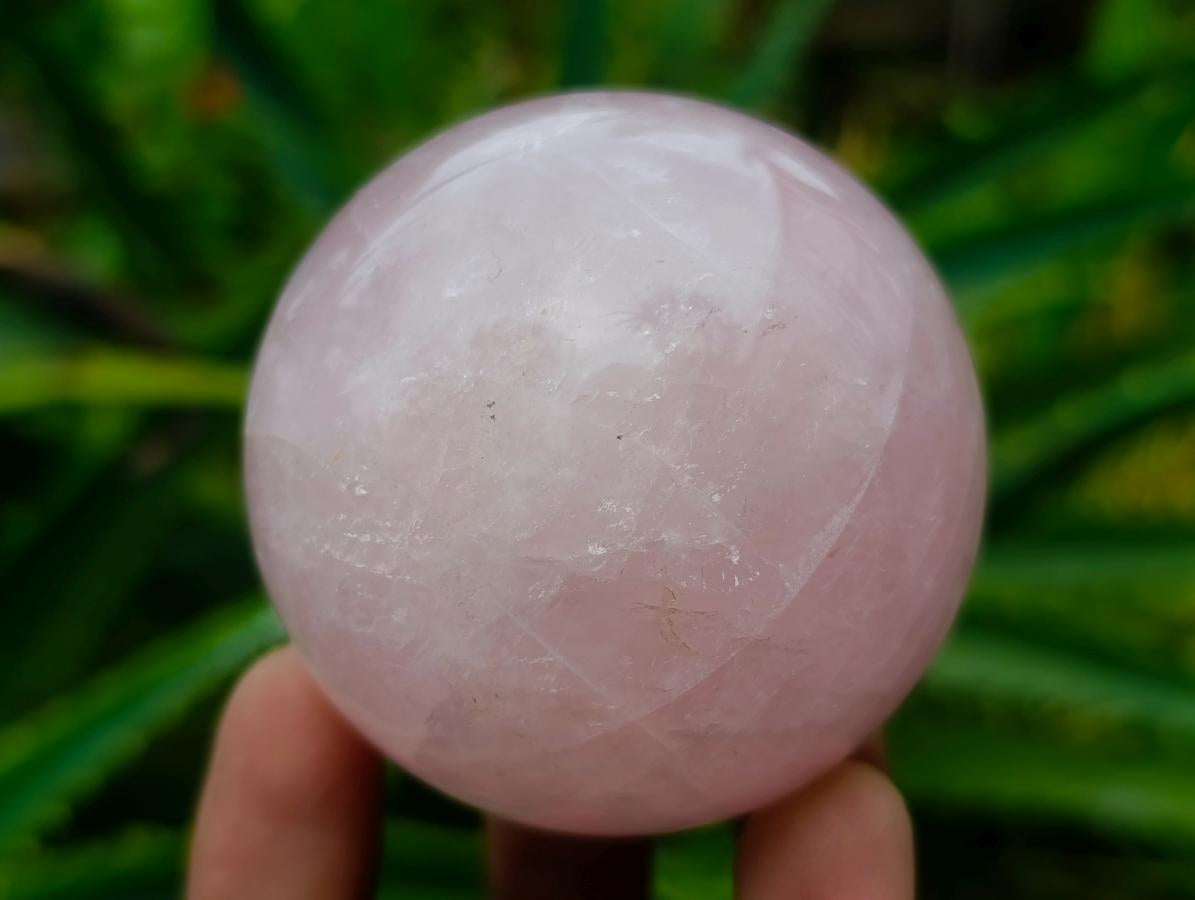 Polished Star Rose Quartz Spheres x 6 From Madagascar