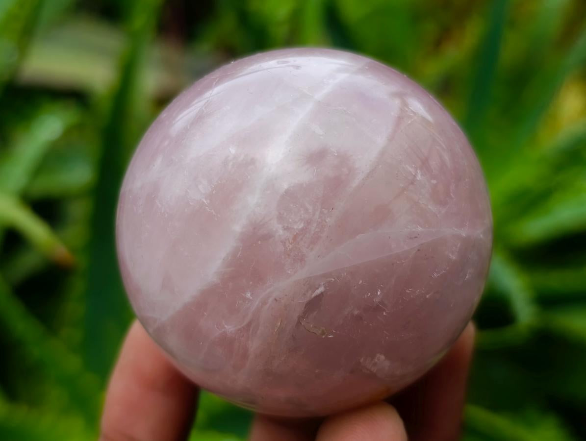 Polished Star Rose Quartz Spheres x 6 From Madagascar