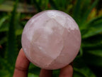 Polished Star Rose Quartz Spheres x 6 From Madagascar