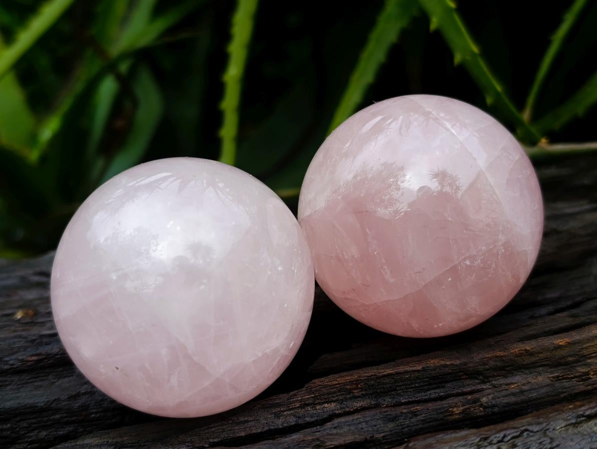 Polished Star Rose Quartz Spheres x 6 From Madagascar