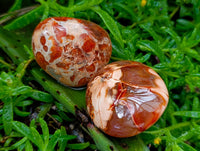 Polished Carnelian Agate Gemstone Galets x 12 From Madagascar