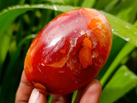 Polished Carnelian Agate Gemstone Galets x 12 From Madagascar