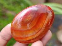 Polished Carnelian Agate Gemstone Galets x 12 From Madagascar