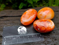 Polished Carnelian Agate Gemstone Galets x 12 From Madagascar