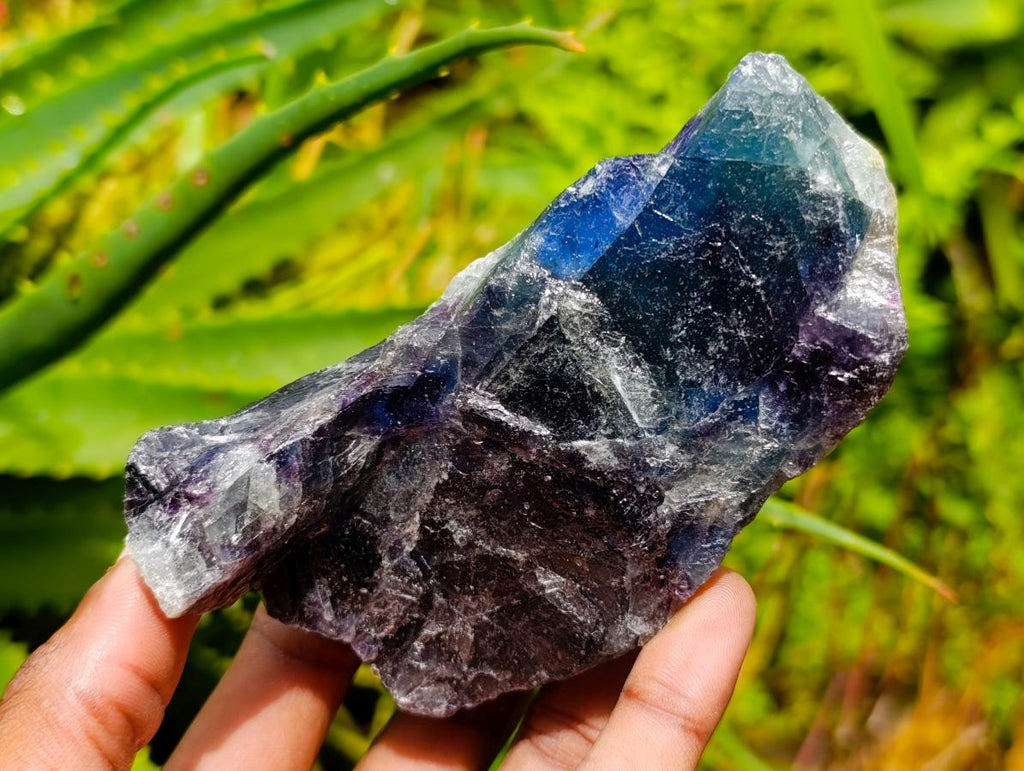 Natural Watermelon Fluorite Cobbed Specimens x 12 From Uis, Namibia