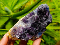 Natural Watermelon Fluorite Cobbed Specimens x 12 From Uis, Namibia