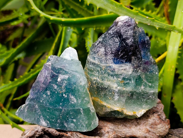 Natural Watermelon Fluorite Cobbed Specimens x 12 From Uis, Namibia