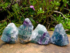Natural Watermelon Fluorite Cobbed Specimens x 12 From Uis, Namibia