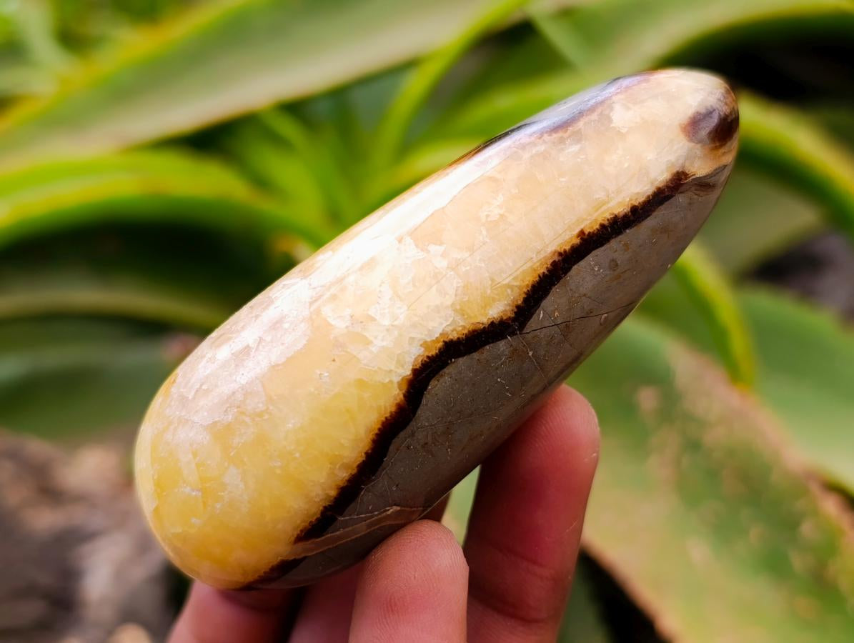 Polished Blue Calcite And Septerye Massage Wands x 5 From Madagascar