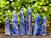Polished Sodalite Points x 6 From Kunene River, Namibia