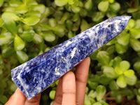 Polished Sodalite Points x 6 From Kunene River, Namibia