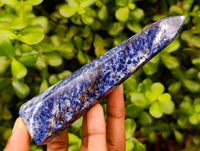 Polished Sodalite Points x 6 From Kunene River, Namibia