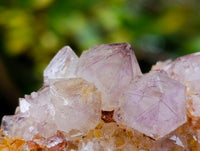 Natural Ametrine Spirit Clusters x 20 From Boekenhouthoek, South Africa