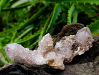 Natural Ametrine Spirit Clusters x 20 From Boekenhouthoek, South Africa