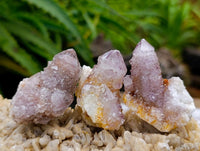 Natural Ametrine Spirit Clusters x 20 From Boekenhouthoek, South Africa