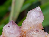Natural Ametrine Spirit Clusters x 20 From Boekenhouthoek, South Africa