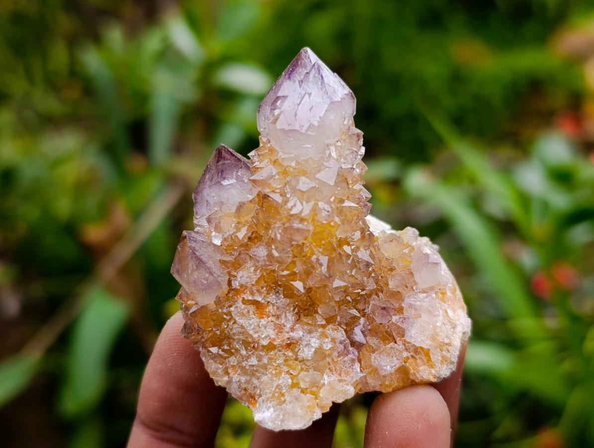 Natural Ametrine Spirit Clusters x 20 From Boekenhouthoek, South Africa